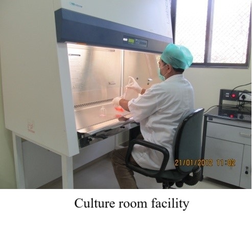 Culture Room